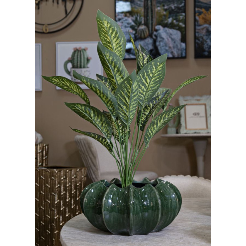 Panier Cactus Élégant CM Ø31X16