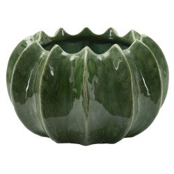 Panier Cactus Compact CM Ø22X13,5