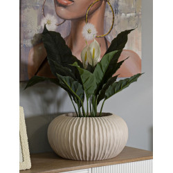 Pot de Brume Compact CM Ø35X18