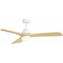 Ventilateur de Plafond S&P...