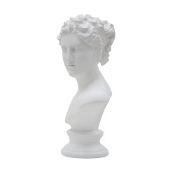 Muse Romaine Captive du Temps – CM 21,5X14,5X34