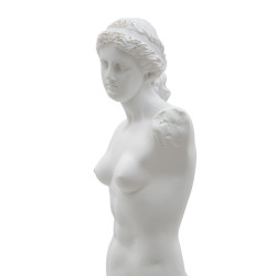 Statue Élancée d’une Femme Souveraine – CM 14X12X49