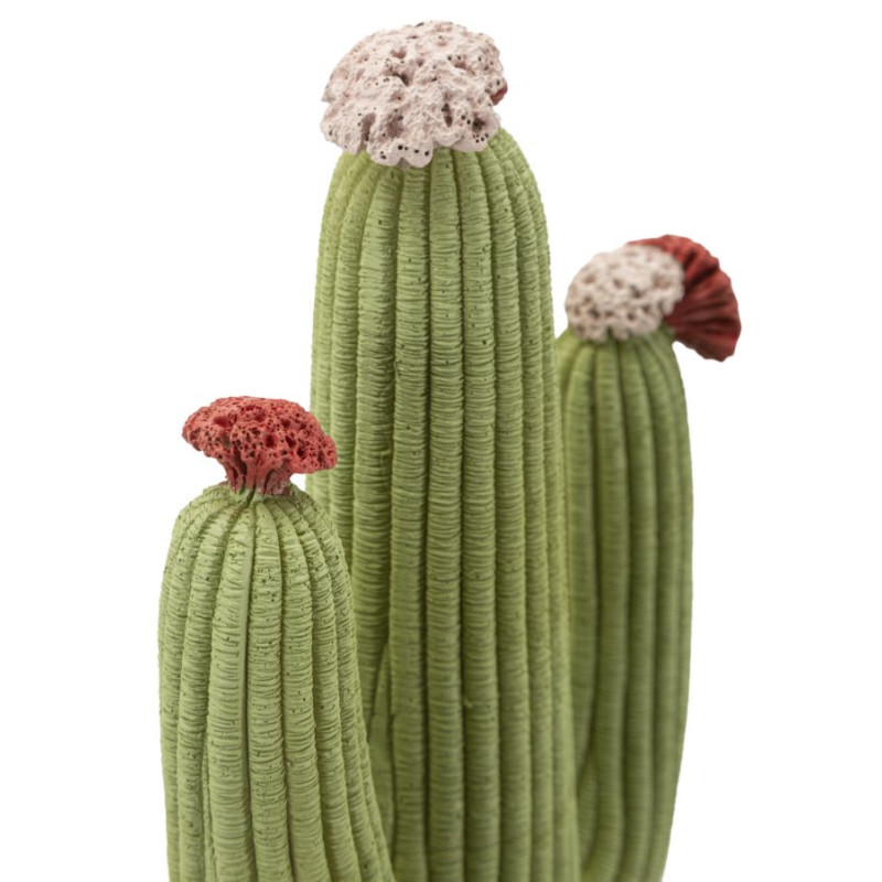 CACTUS CM 16,5X11X45