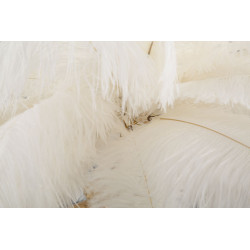 Lampe de Table Palm Blanc – Élégance Ø 40x55 cm