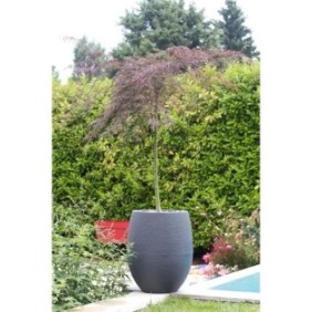 EDA Pot rond Graphit ÿ50cm - Contenance 53L - Gris anthracite