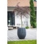 EDA Pot rond Graphit ÿ50cm - Contenance 53L - Gris anthracite