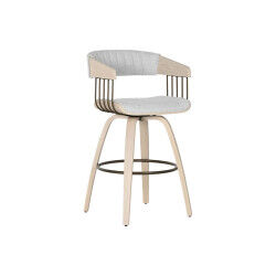 Chaise de Salle à Manger...