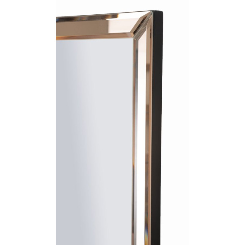 Miroir mural Berlin rose 55x2x150 cm (miroir 49x143,5 cm) – Charme subtil et sophistication moderne