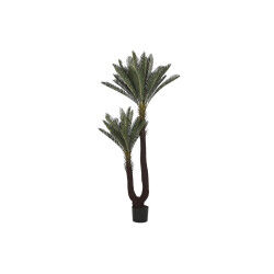 Plante décorative Home...
