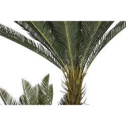 Plante décorative Home ESPRIT Polyéthylène Tropical 80 x 80 x 170 cm