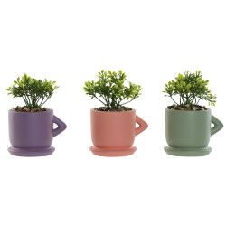 Plante décorative Home...