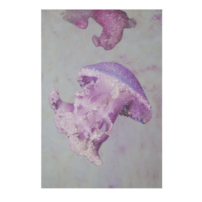IMPRESSION SUR TOILE AVEC APPLICATIONS MEDUSA -A- CM 80X3,8X120