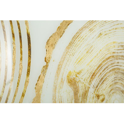 PANNEAU DE VERRE AVEC CADRE EN BOIS CM 60X3,5X90