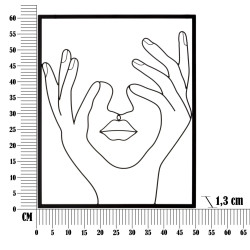 PANNEAU DE FER SIMPLEMENT FACE CM 50,5X1,3X61