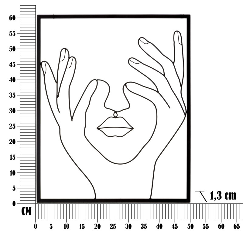 PANNEAU DE FER SIMPLEMENT FACE CM 50,5X1,3X61