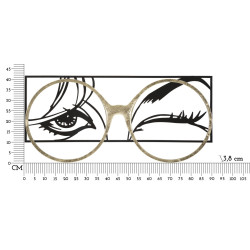 PANNEAU DE FER POUR LUNETTES CM 89,5X3,8X41,3