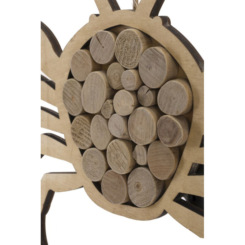 CRABE NATURE CM 35X2X31