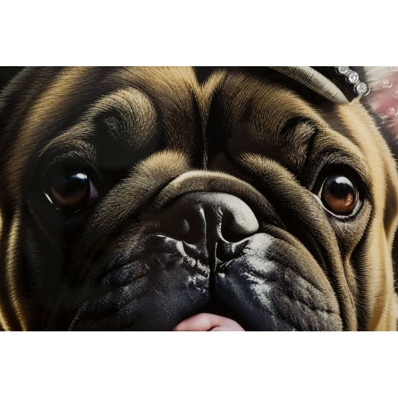 PEINTURE SUR TOILE LAQUÉE BULLY AVEC CADRE CM 62X4X82