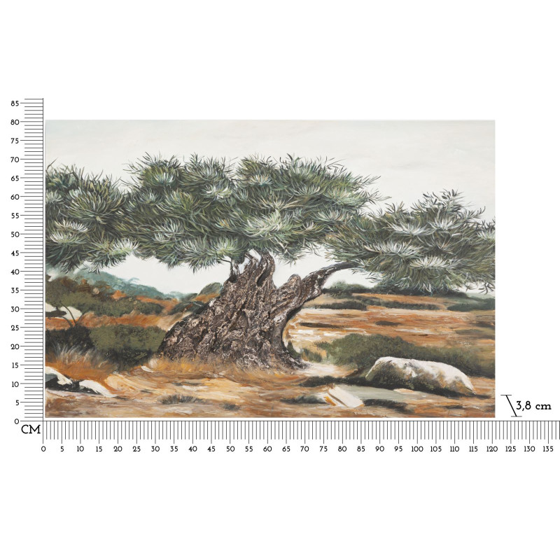 PEINTURE SUR TOILE OLIVE -B- CM 120X3,8X80