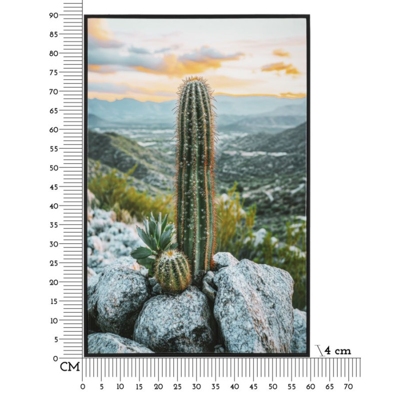 IMPRESSION SUR TOILE LAQUÉE AVEC CADRE CACTUS -A- CM 60X4X90