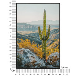 IMPRESSION SUR TOILE LAQUÉE AVEC CADRE CACTUS -B- CM 60X4X90