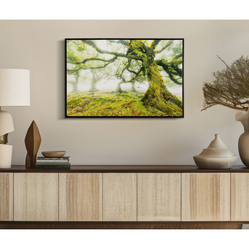 IMPRESSION SUR TOILE LAQUÉE AVEC CADRE FORESTIER CM 90X4X60