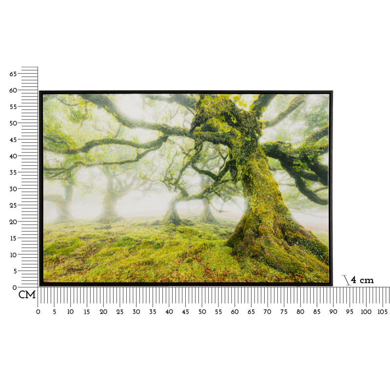 IMPRESSION SUR TOILE LAQUÉE AVEC CADRE FORESTIER CM 90X4X60
