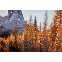 IMPRESSION SUR TOILE LAQUÉE AVEC CADRE LAC CM 90X4X60