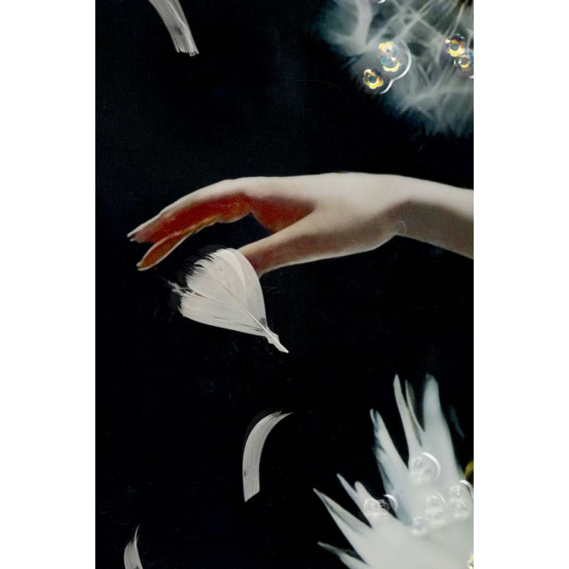 PEINTURE SUR TOILE LAQUÉE DANSANT AVEC CADRE -B- CM 72X4X102