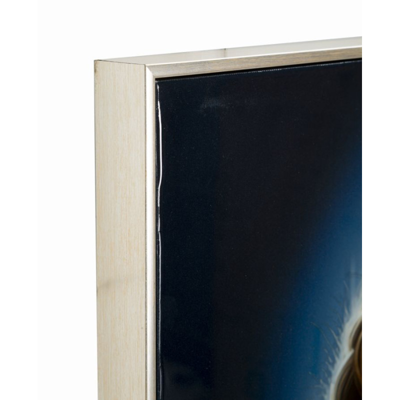 PEINTURE SUR TOILE LAQUÉE ISABEL AVEC CADRE -A- CM 72X4X102