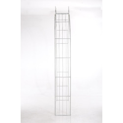 Arc de rose Soleil blanc antique