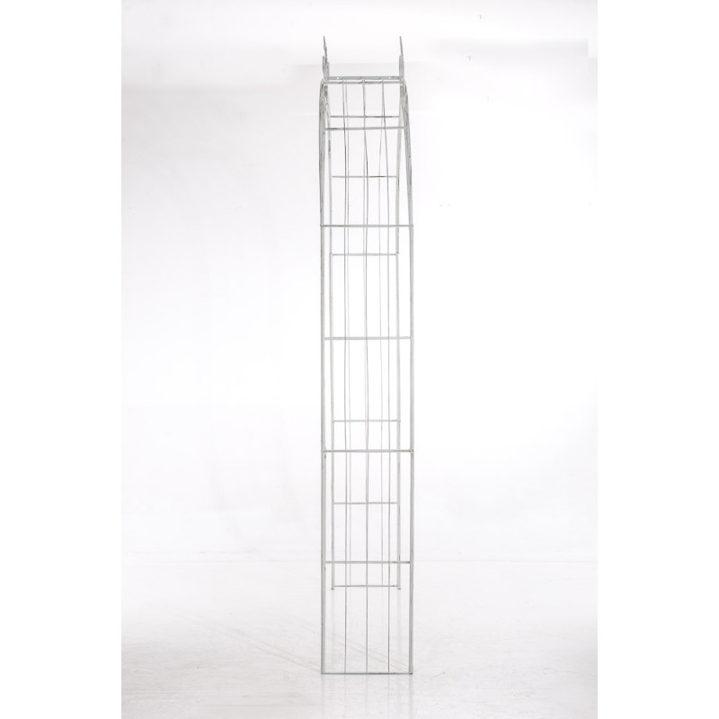 Arc de rose Soleil blanc antique