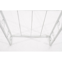 Arc de rose Soleil blanc antique