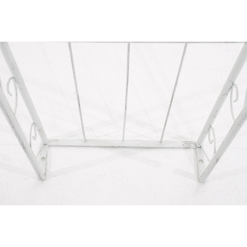 Arc de rose Soleil blanc antique