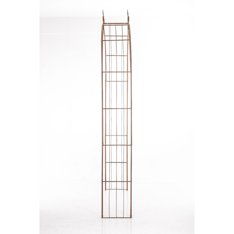 Arc de rose Soleil brun antique