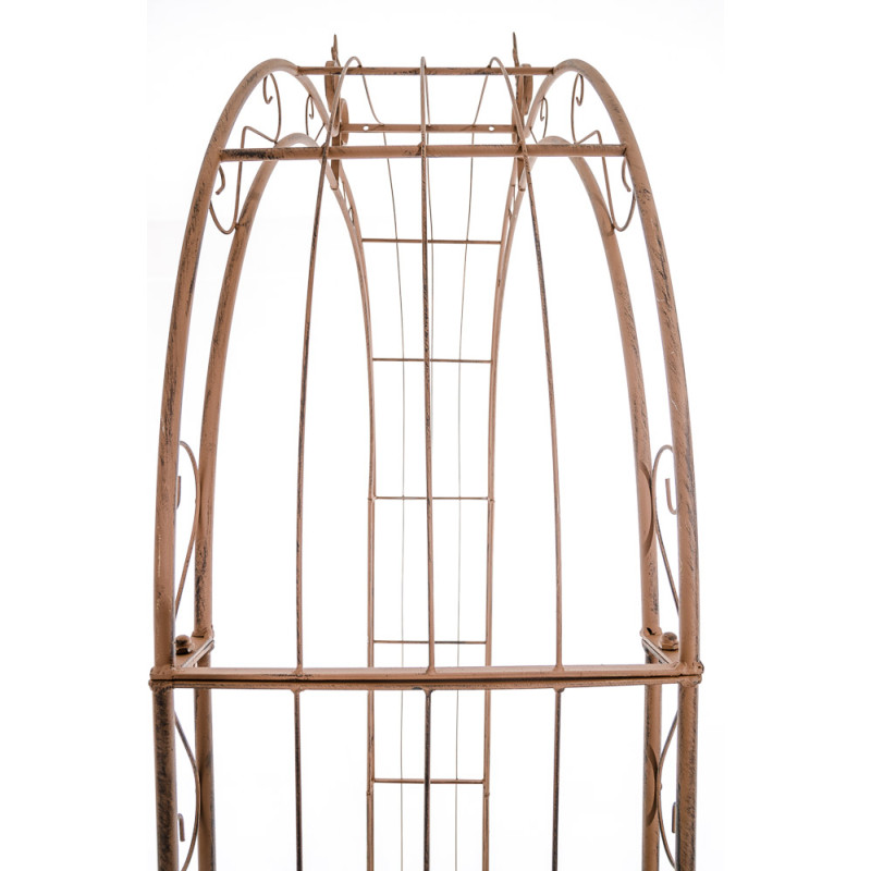 Arc de rose Soleil brun antique