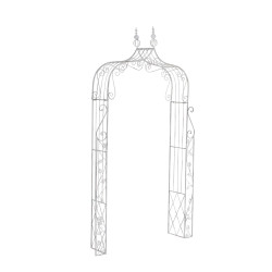 Arc de rose Aurora blanc antique