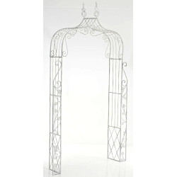 Arc de roses Aurore blanc antique