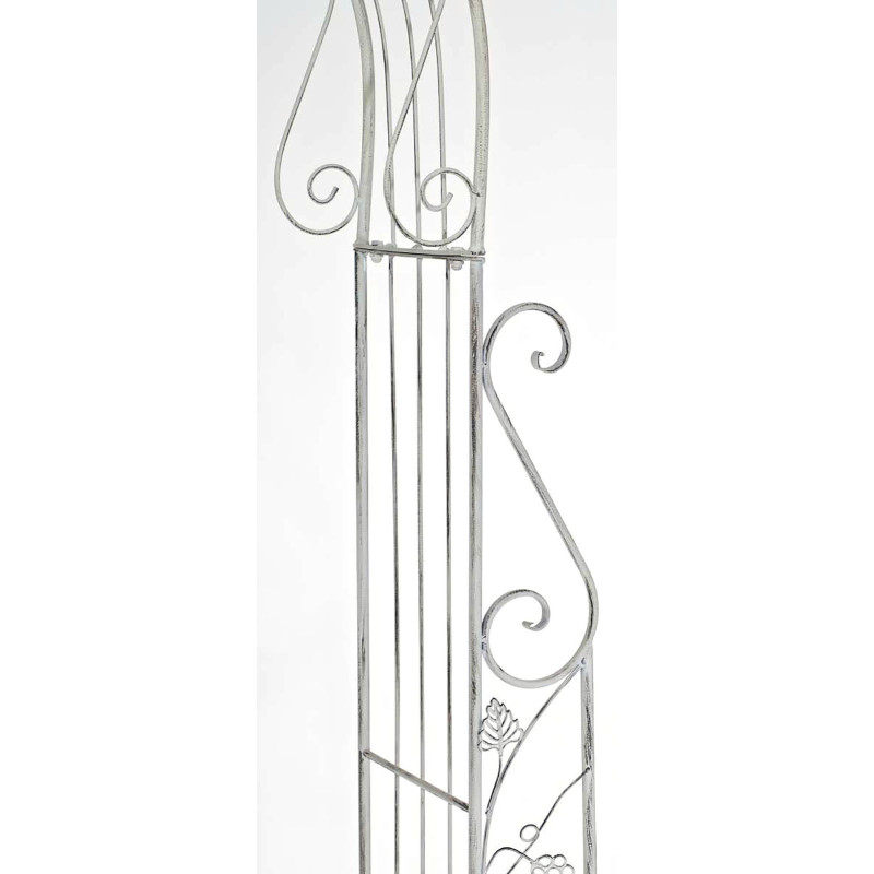 Arc de roses Aurore blanc antique