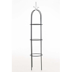 Colonne Rose Romantika noir