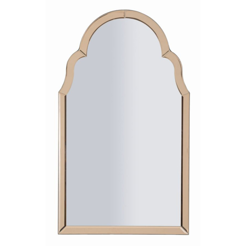 MIROIR MURAL ROSE TANGERI CM 47X1X80 (DIMENSION DU MIROIR CM 41X74)
