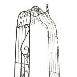 Arc de roses Aurore bronze