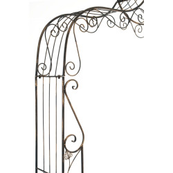 Arc de rose Aurora bronze