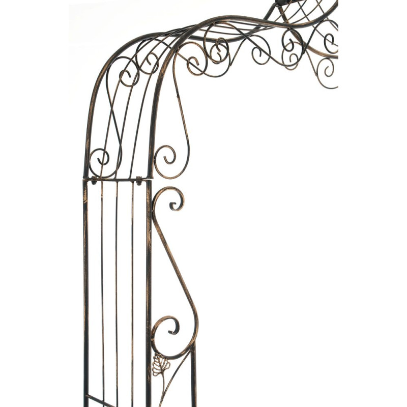 Arc de rose Aurora bronze