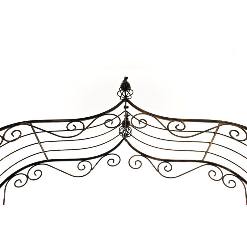 Arc de roses Aurore bronze