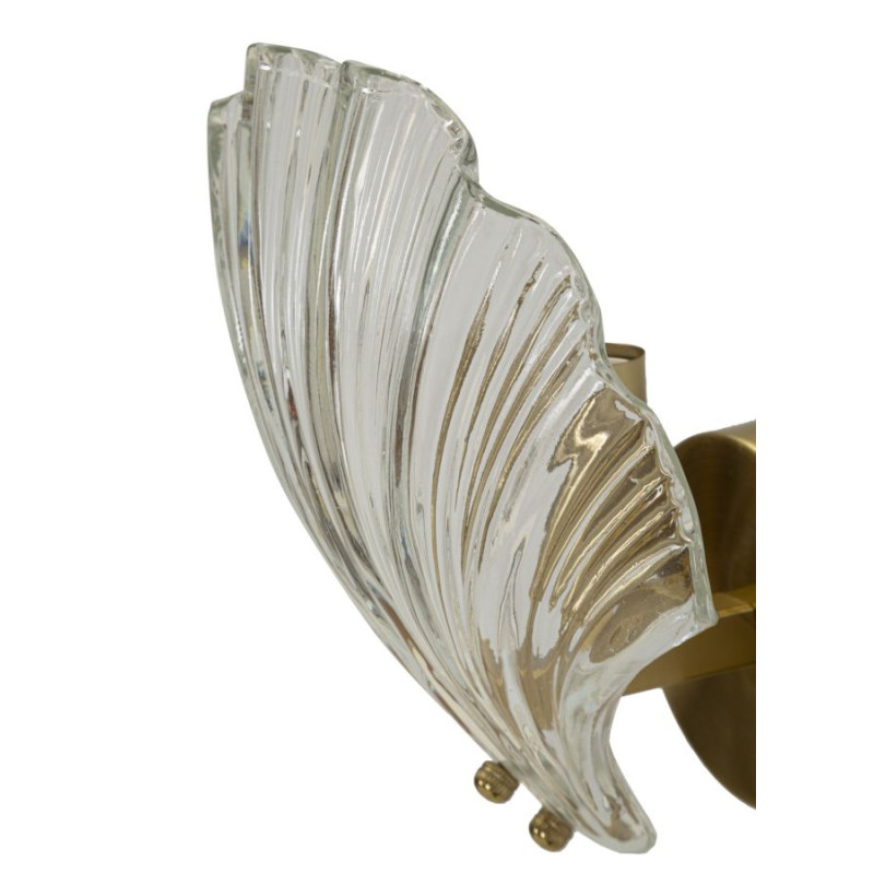 APPLIQUE COQUILLE CM 20X14X22