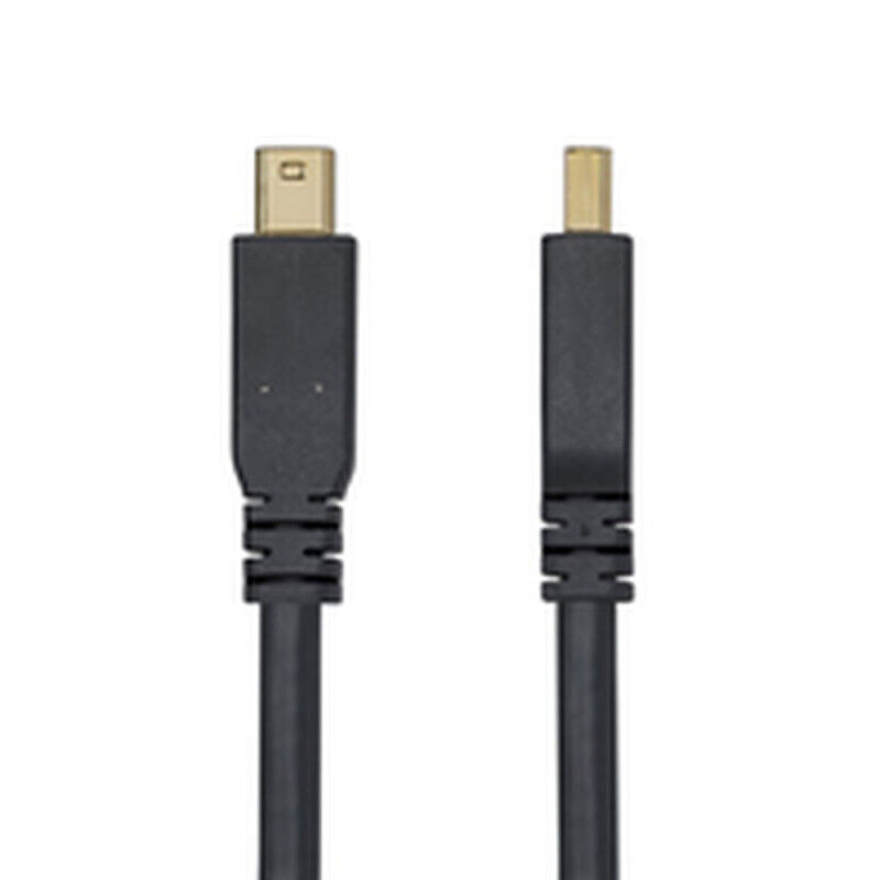 Câble VGA Startech DP14MDPMM10F Noir 3 m