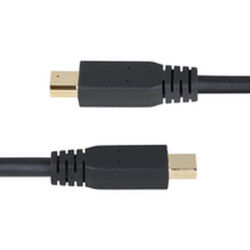 Câble VGA Startech DP14MDPMM10F Noir 3 m