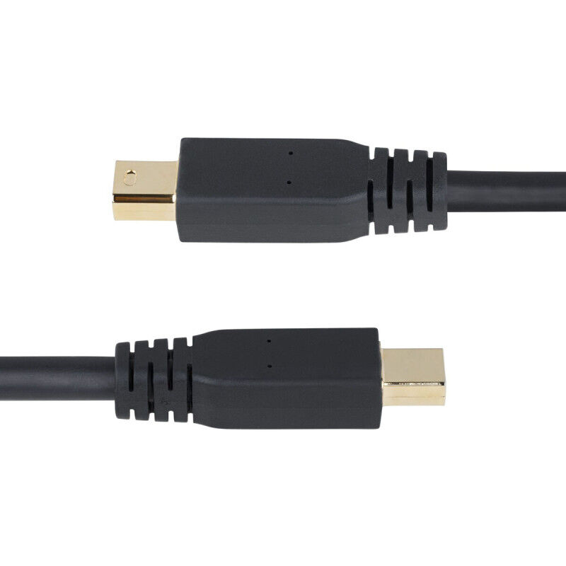 Câble VGA Startech DP14MDPMM10F Noir 3 m