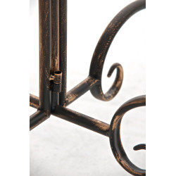 Table Sheela bronze